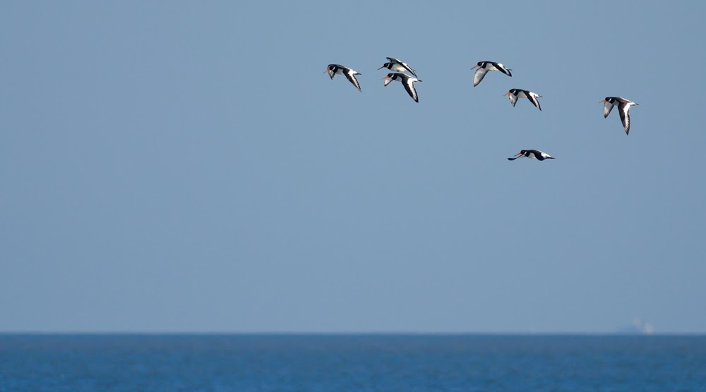  Greater Rann of Kutch