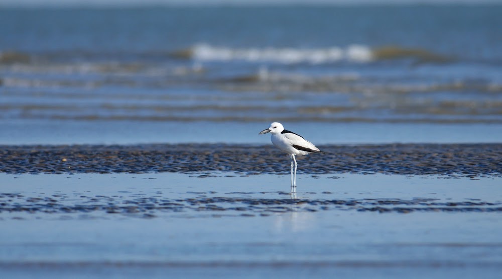  Greater Rann of Kutch