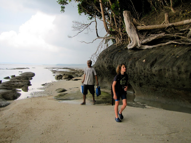 Intertidal walk, Andaman Islands