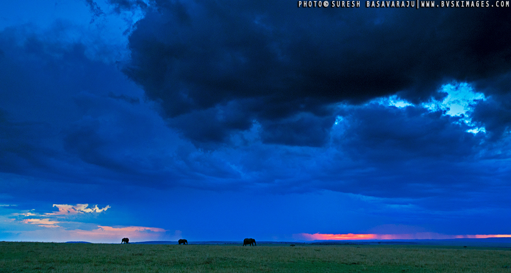 African Diaries - Making a image by Suresh Basavaraju, Masai Mara, Nikon D4, Nikon 17-35mm f/2.8 at 25mm, ISO 1600, 1/25 @ f/11, -1.33 EV Exposure Compensation. Galen Rowell 2 stop soft edge ND filter from Singh-Ray