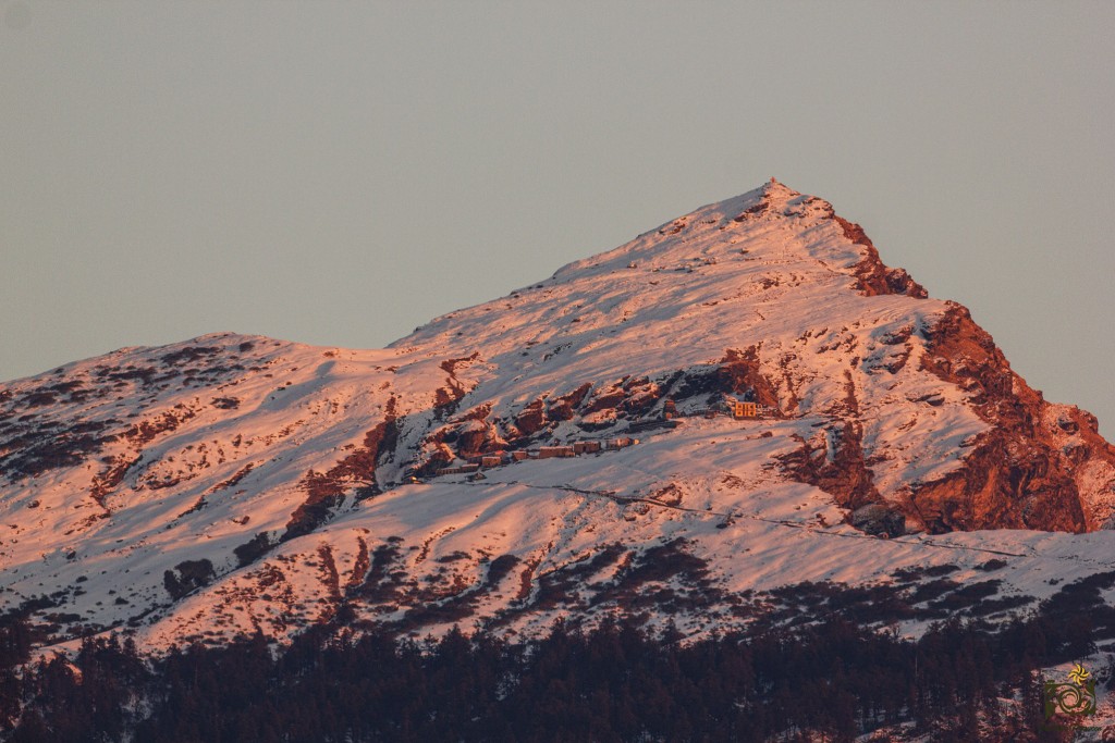 One of the Late evening light on Chandrashila, Himalayan Birds of Chopta, Deoriya, Makkumath