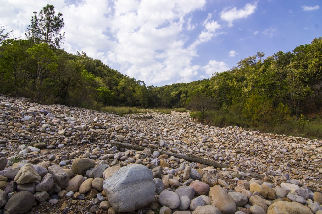 Corbett, Uttarakhand