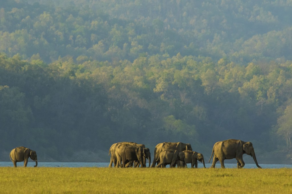 Corbett, Uttarakhand