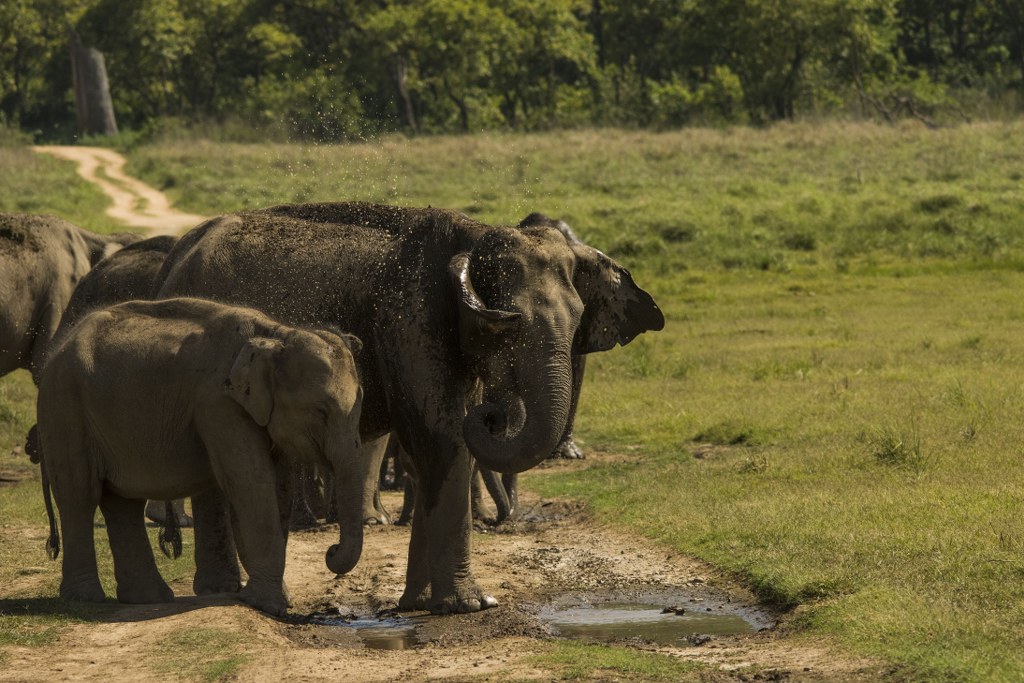 Corbett, Uttarakhand