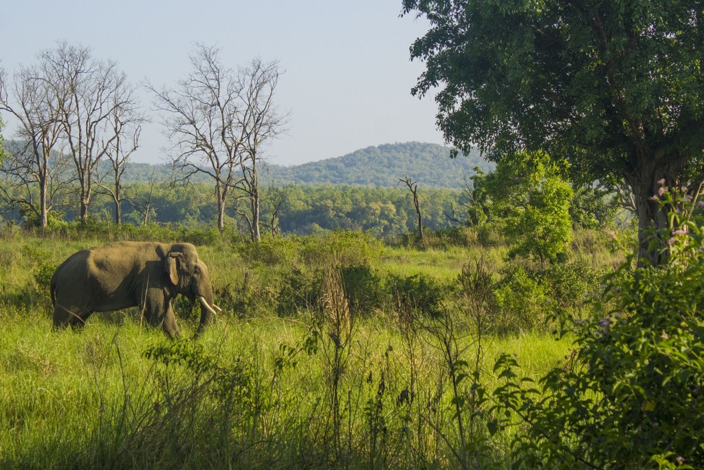 Corbett, Uttarakhand