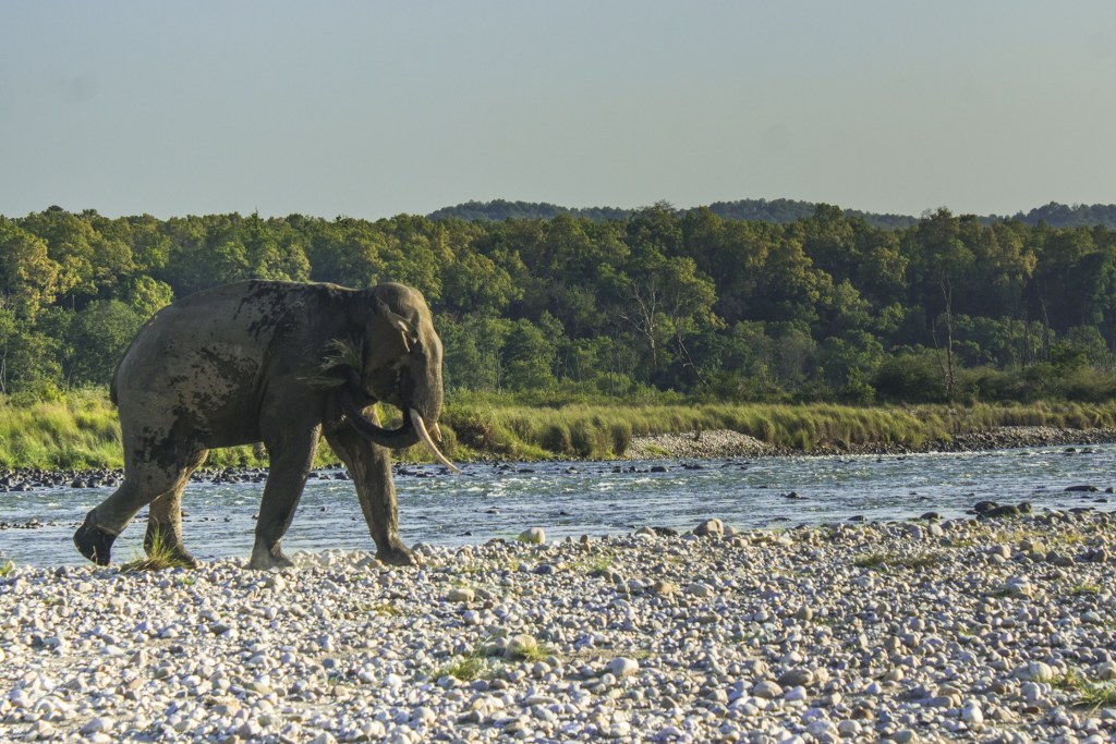 Corbett, Uttarakhand