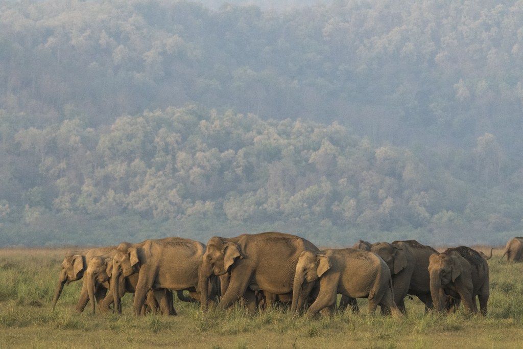 Corbett, Uttarakhand