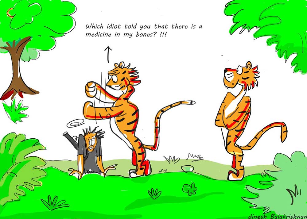 Save Tigers, Wilderhood Recitals Chapter Laughing Dove, Wildlife Cartoons by Dinesh Balakrishnan
