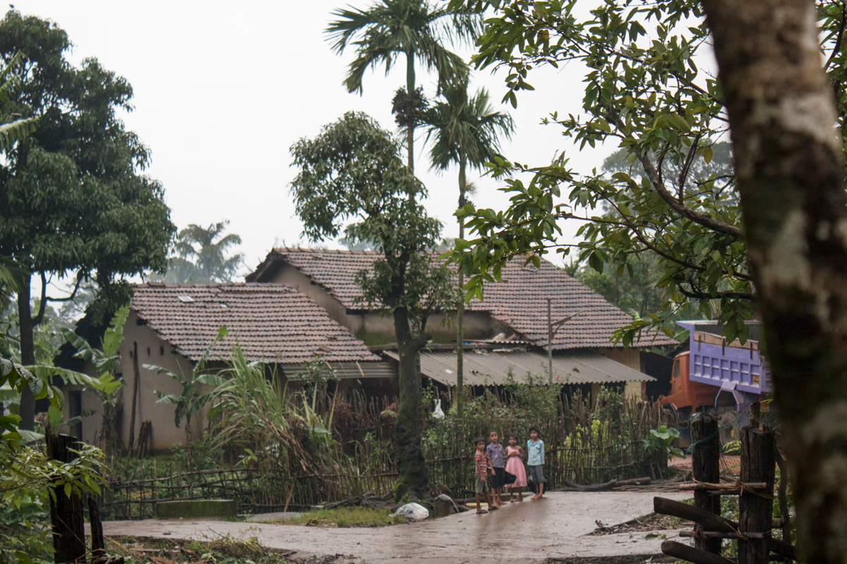 Hypnale research station, Kuveshi, Kali Tiger reserve, Dandeli