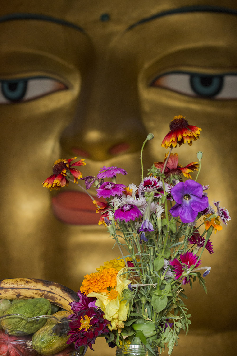 Maithreya Budha, Thiksey Monastrey, Ladakh