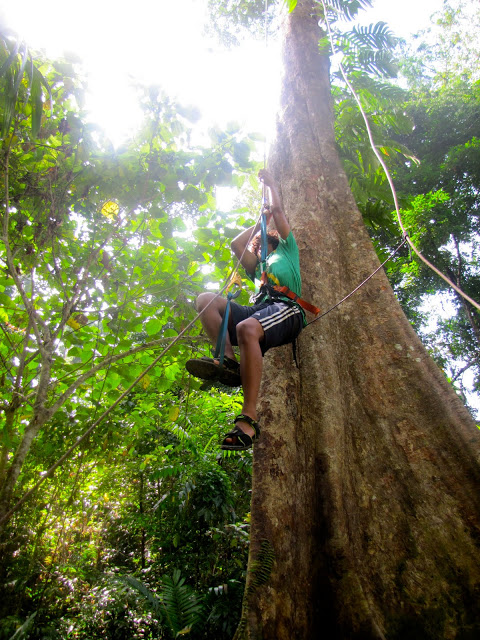 Tree climbing, Andaman Islands