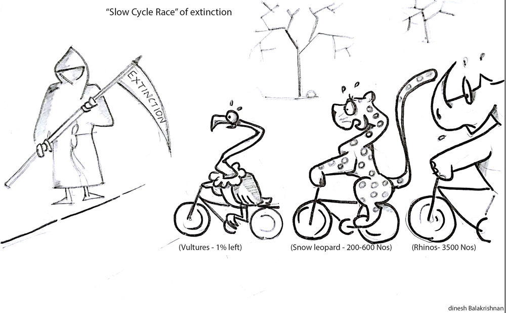 Recitals Chapter Laughing Dove, Wildlife Cartoons by Dinesh Balakrishnan
