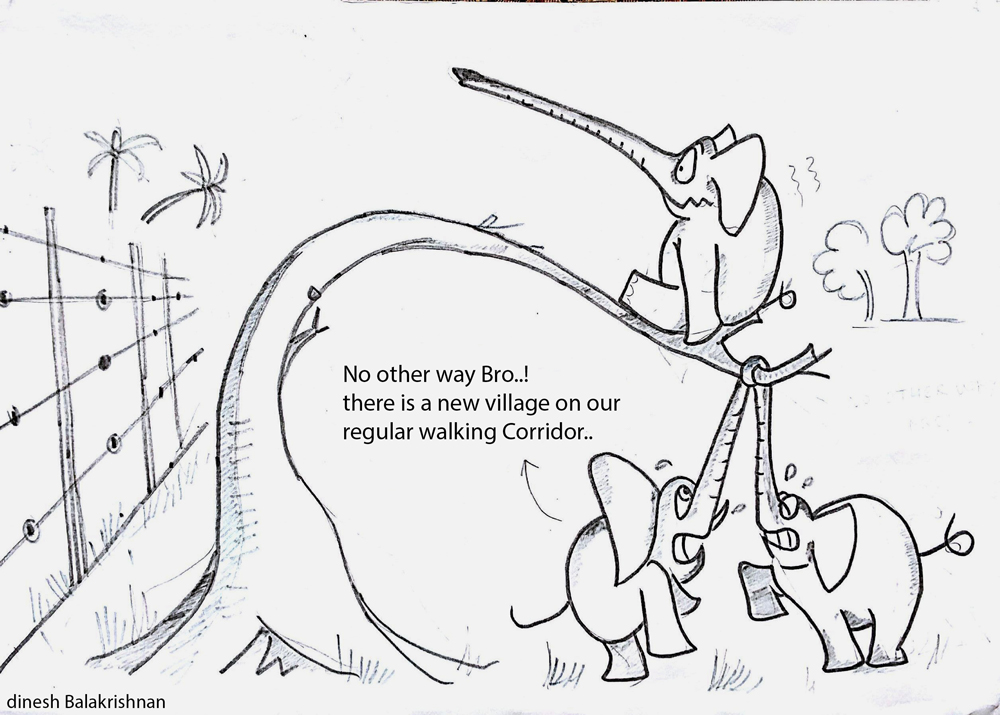 Elephant corridor, Recitals Chapter Laughing Dove, Recitals Chapter on Wilderhood, Wildlife Cartoons by Dinesh Balakrishnan