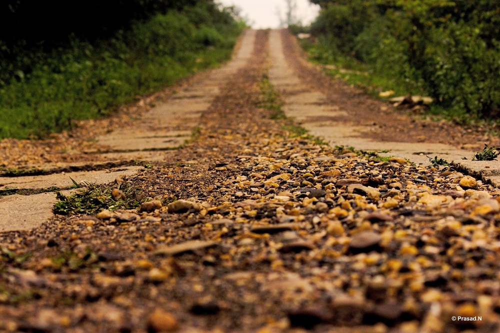 Title: Pebble Road, Bhagavathi Nature Camp, Kudremukh