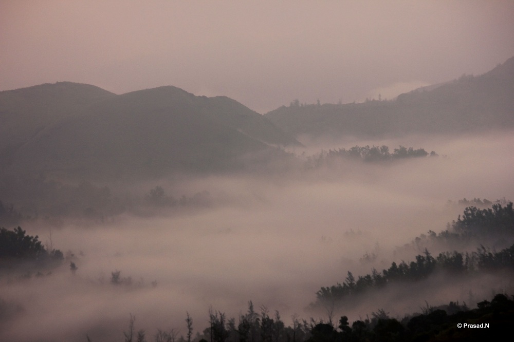 Title: Not to Possess, Bhagavathi Nature Camp, Kudremukh