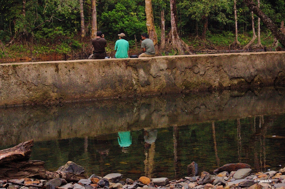 Title: Strangers, Bhagavathi Nature Camp, Kudremukh