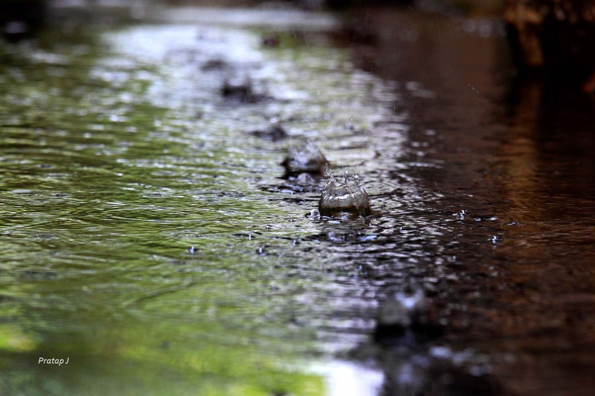 Aqua Canvas by Pratap J Rao on shooting Water droplets, 1/100, at f/6.3 and ISO 100